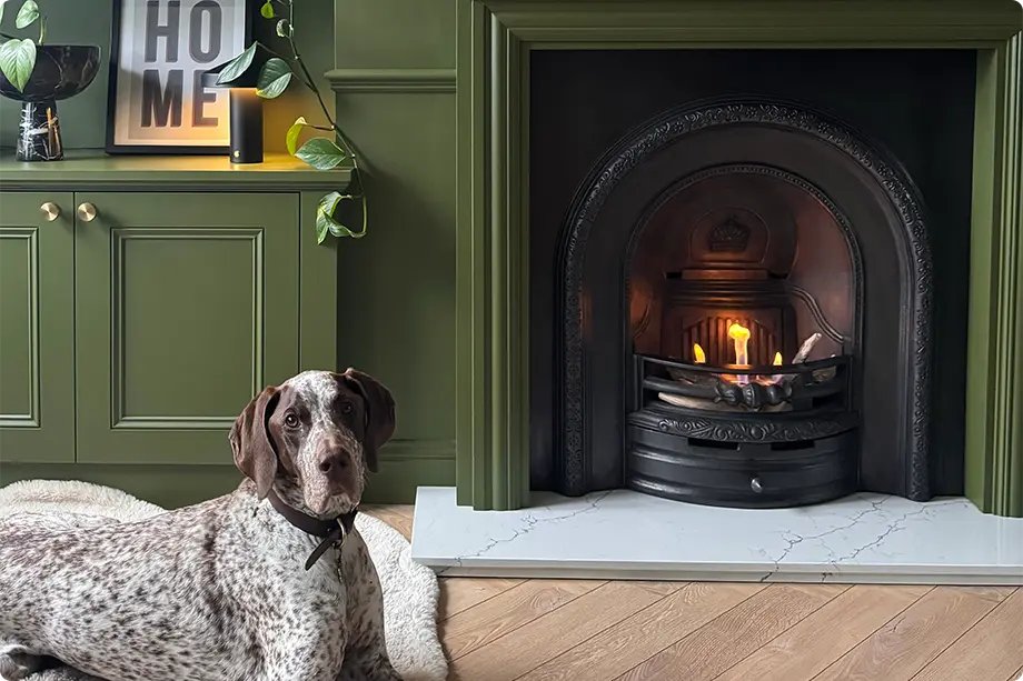 How to Convert Log Burner into a Bioethanol Fireplace