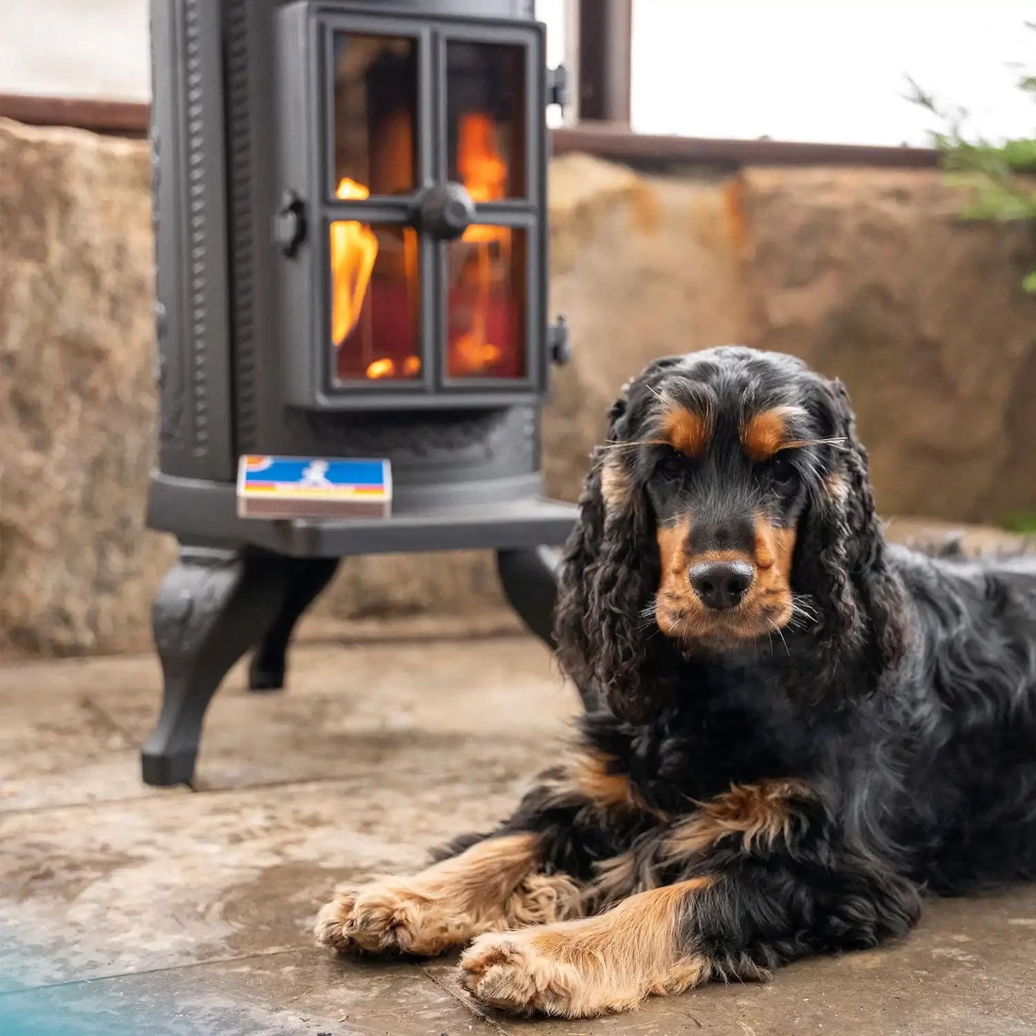 dog bioethanol fireplace