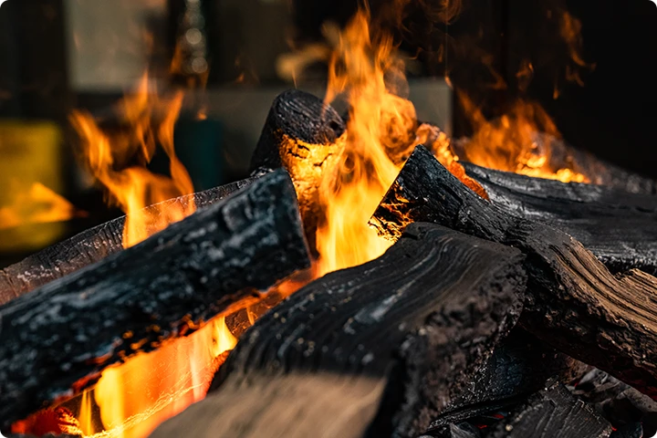 Bio Fireplace Group