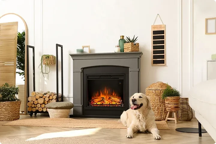 Electric Fire and Surround 